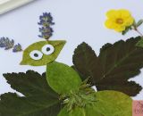 Bastelidee für Kinder - Bilder aus getrockneten Blättern basteln. Blättertiere - Eine kostenlose DIY-Anleitung von shesmile.