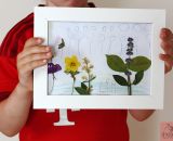 Bastelidee für Kinder - Bilder aus getrockneten Blättern basteln. Blättertiere - Eine kostenlose DIY-Anleitung von shesmile.