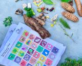 Druckvorlagen und Spielideen für ein Natur-Bingo gestaltet als PDF-E-Book von shesmile. Perfekt als Schatzsuche für den nächsten Kindergeburtstag oder als Ferien- und Freizeitprogramm für Kinder.
