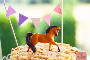 Pferdeparty im Garten mit dem passenden Kuchen: Pferdekoppel-Kuchen mit Wimpelkette und Spirit als Spielpferd und Kuchentopper. Eine Backidee von shesmile.