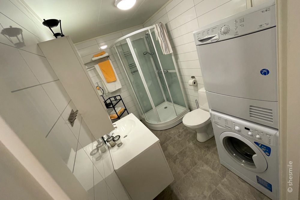 Badezimmer mit Waschmaschine und Trockner der Tore Hunds Apartments Wohnung 3